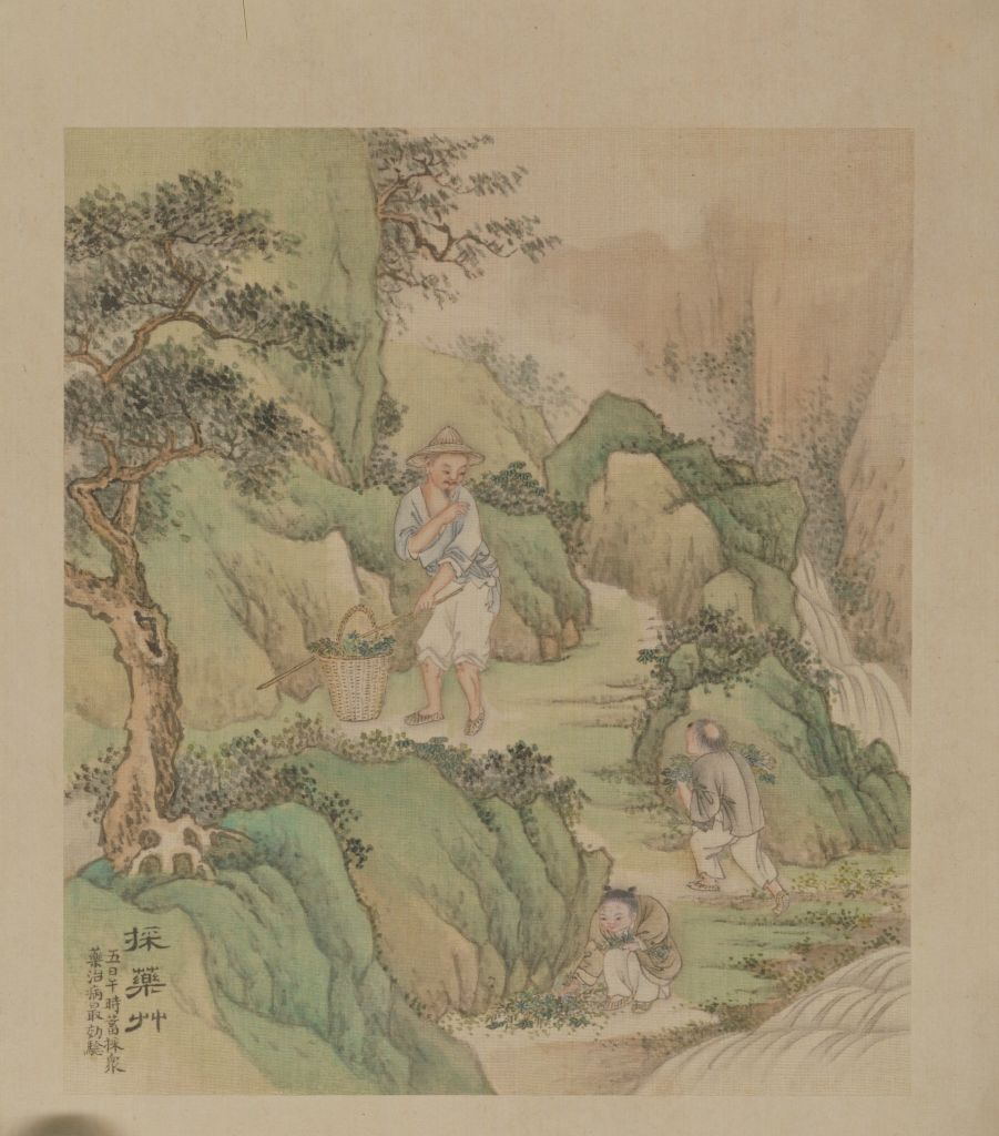 图片[1]-Xuyang Duanyang Story Book – Herb Picking-China Archive